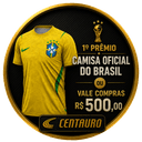 Camisa do Brasil